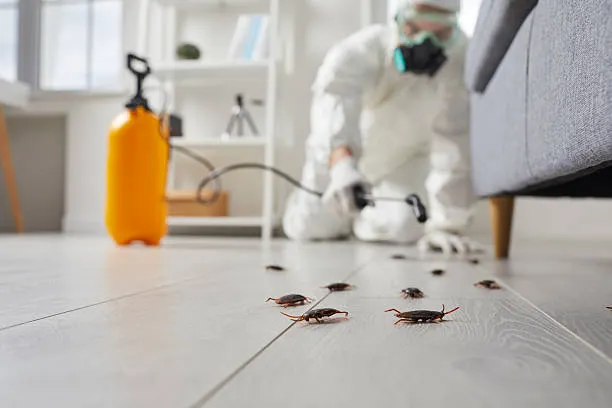 Pest control technician working